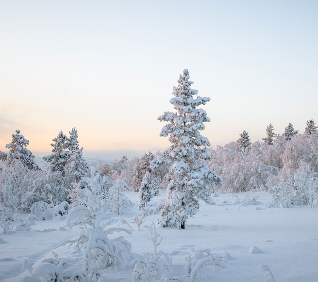 Freezing