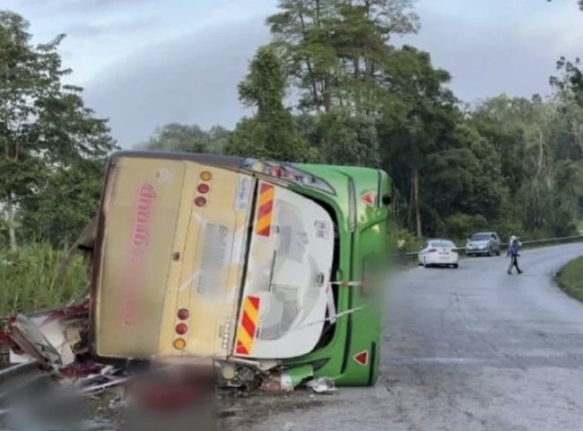 Bus crash