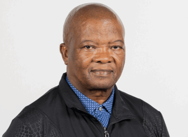 Holomisa