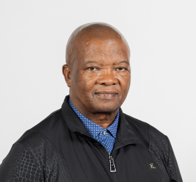Holomisa