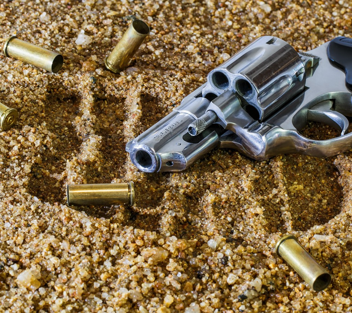 Gun