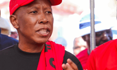 Malema
