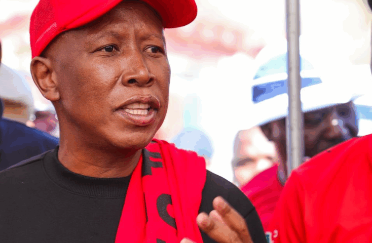 Malema