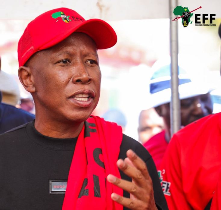 Malema
