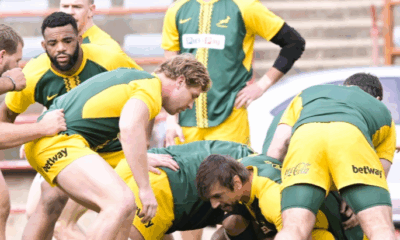 Springboks