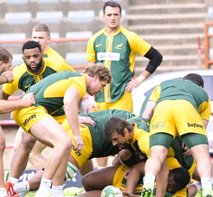 Springboks