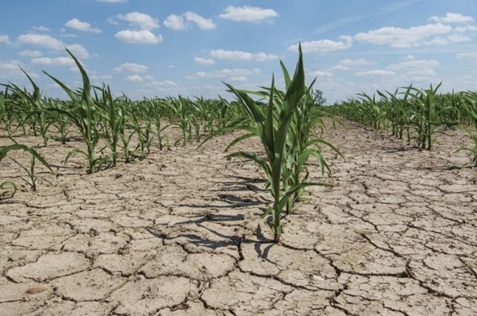 Drought