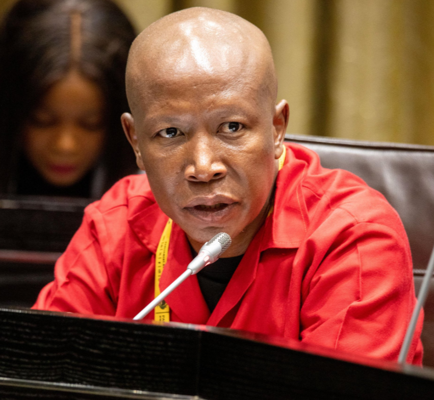 Malema