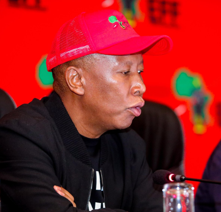 Malema
