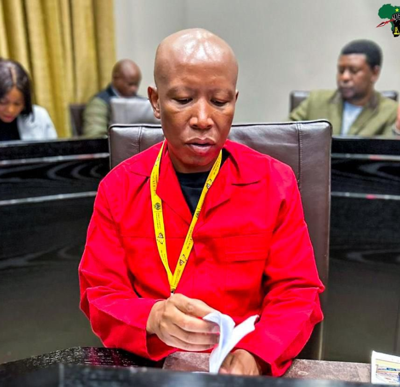 Malema