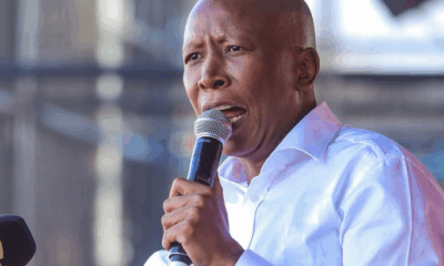 Malema