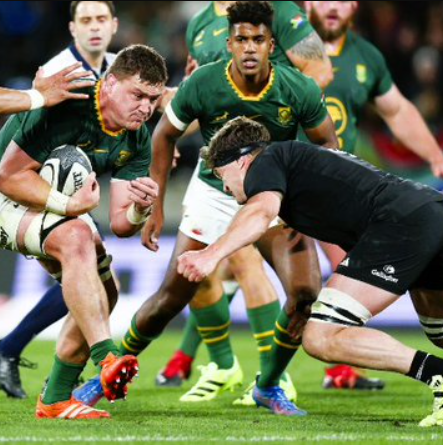 Springboks