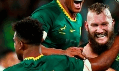 Springboks