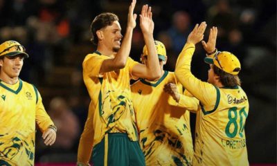 Proteas