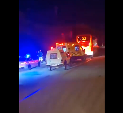 Bus