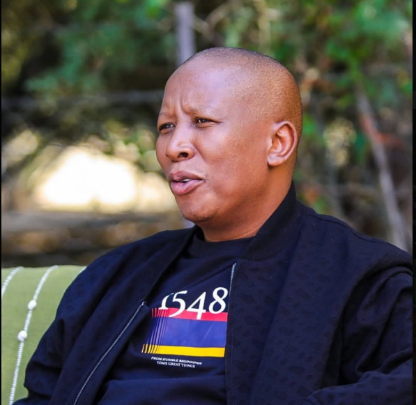 Malema
