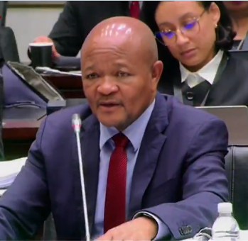 Senzo Mchunu