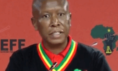 Malema