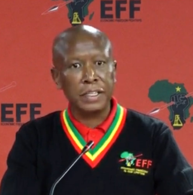 Malema