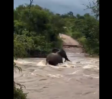 Kruger National Park_floods