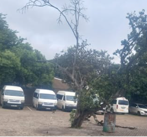 Busted on the move: 11 scholar buses impounded in safety crackdown