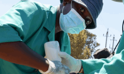 Foot-and-Mouth Disease vaccination