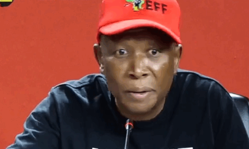 Malema