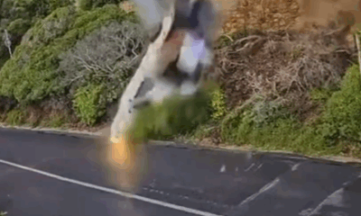 Bakkie