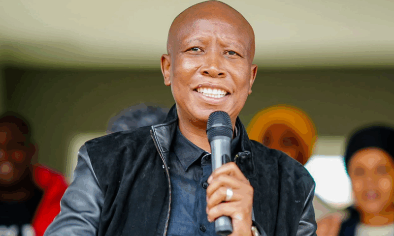 Malema