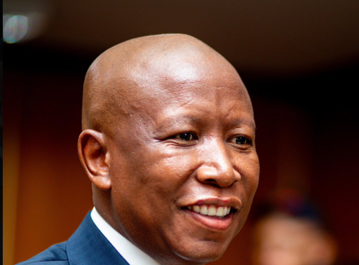 Malema