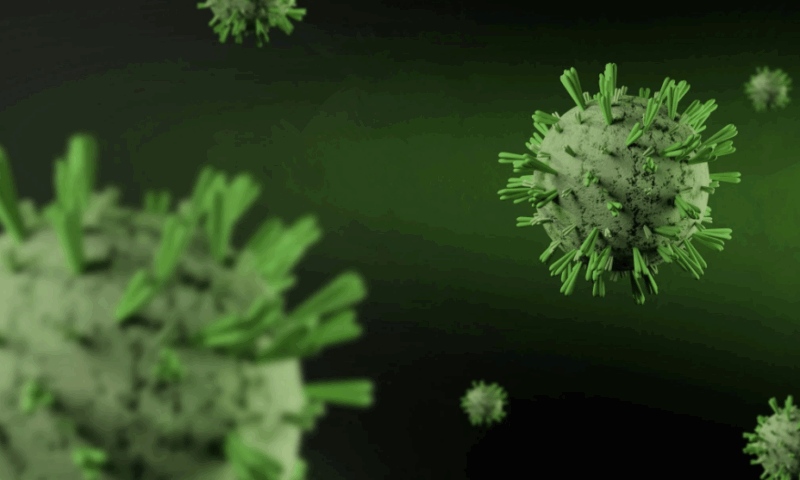 Hantavirus