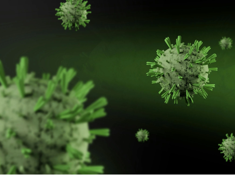 Health Dept confirms rare Hantavirus case in SA, urges calm