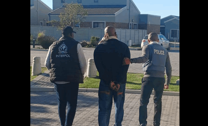 Interpol_SA