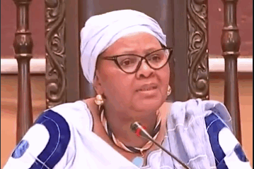 Nosiviwe Mapisa-Nqakula