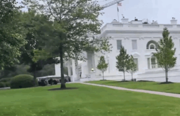 Whitehouse