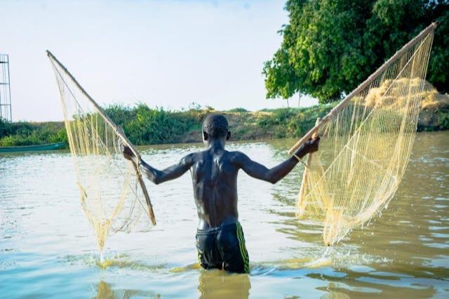 Dozens of Nigerian fishermen feared dead after Chad army strikes jihadists: local sources