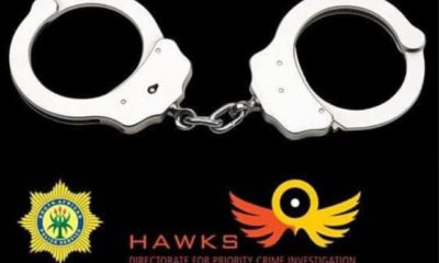 Hawks