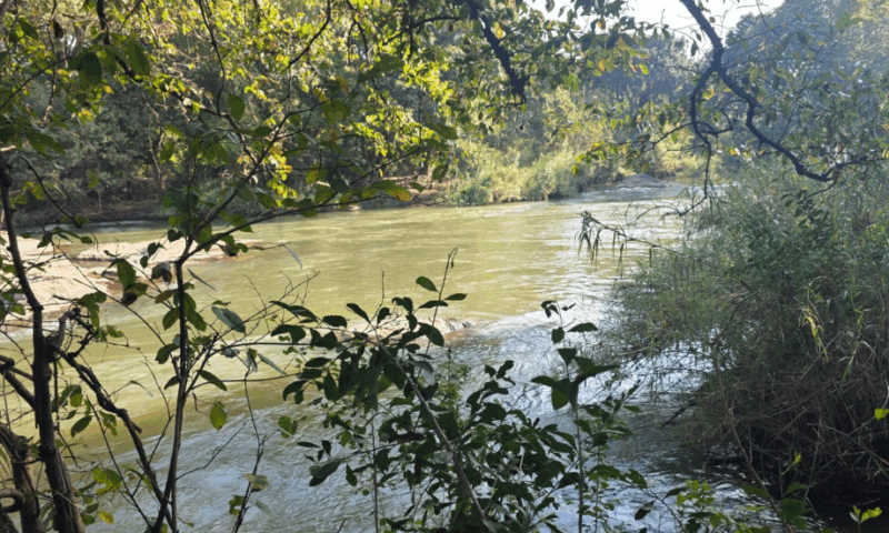 Crocodile River_2