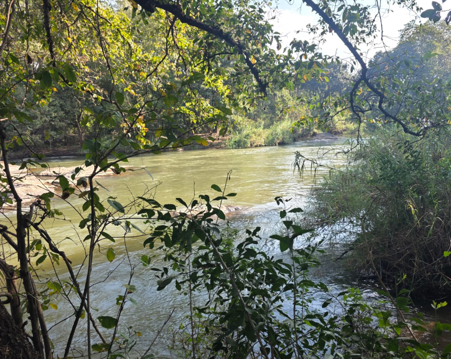 Crocodile River_2