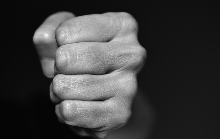 Fist or assault or fight