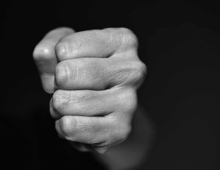 Fist or assault or fight
