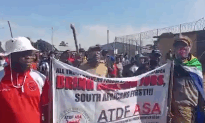 Protesters