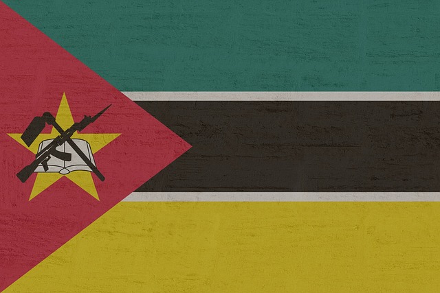 Mozambique says five citizens killed in S. Africa ‘xenophobic attacks’