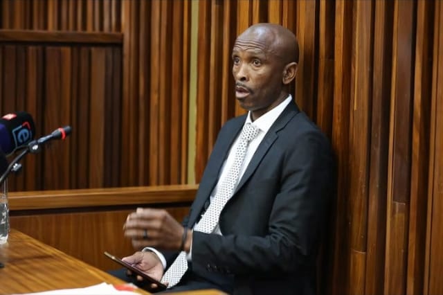 WATCH | 'I wasn't hired to count trees': State witness clashes with defence in Cat Matlala trial