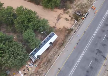 Bus