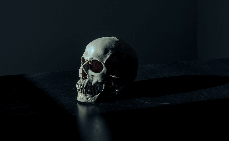 Skeleton