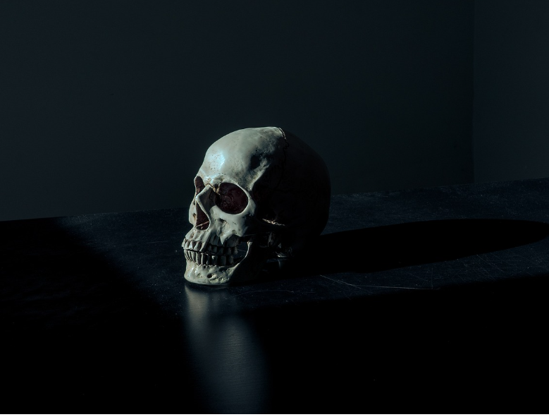 Skeleton