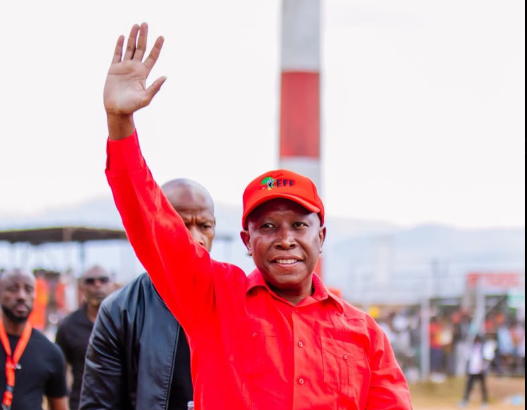 Malema