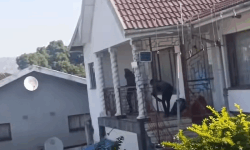 KZN
