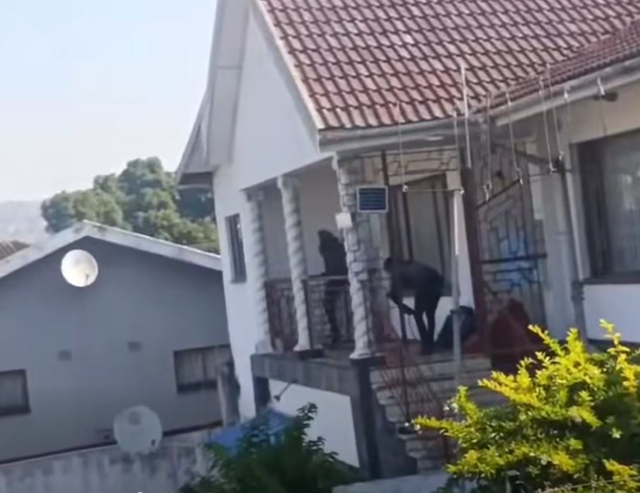 KZN
